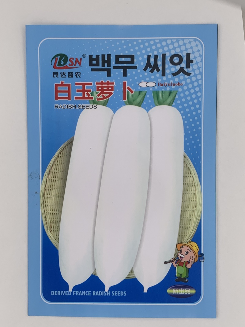 白玉萝卜种子口感好不易糠心纤维少优质良种适应性广