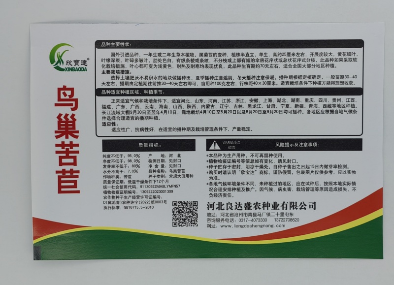 大袋鸟巢苦菊种子黄花细叶耐热耐寒适应性广泛优质良种