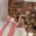 河北机油四花生大量供应产地直发量大从优可视频看货