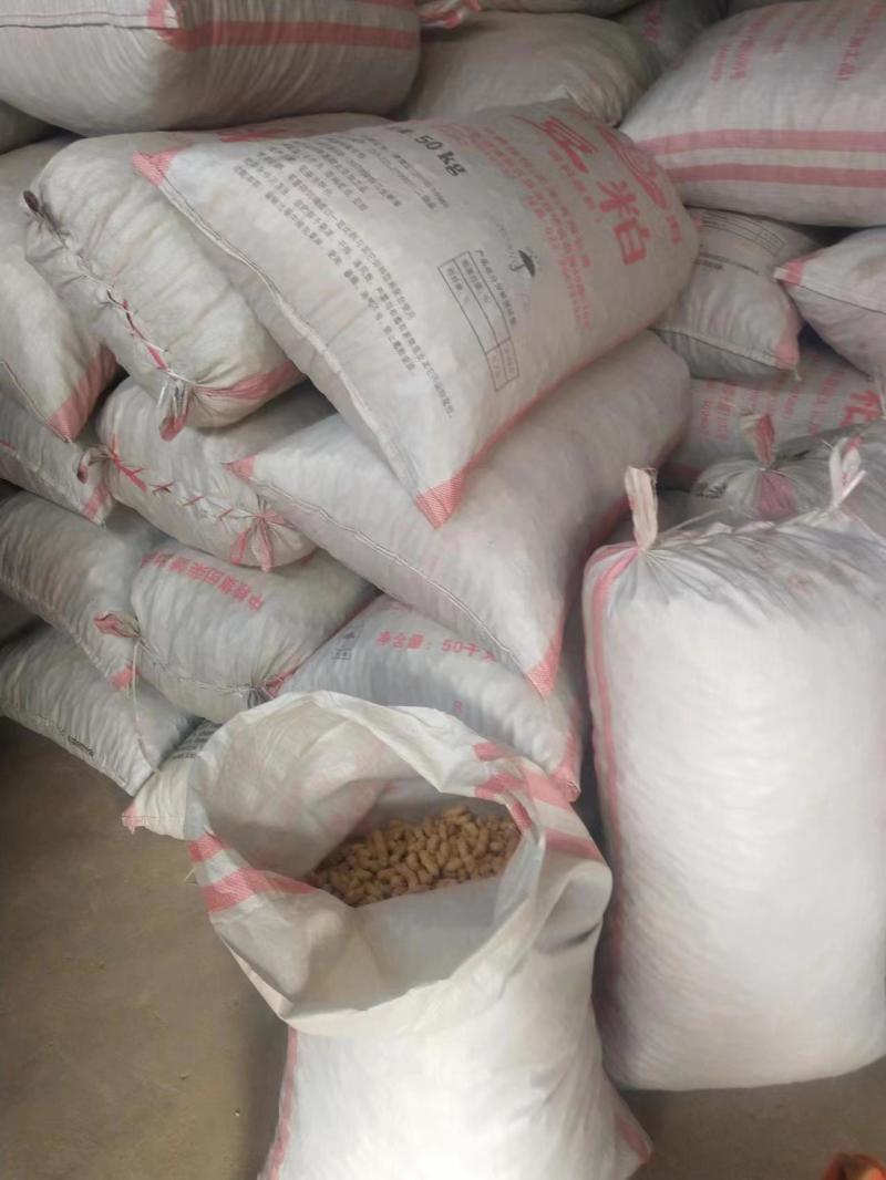 河北机油四花生大量供应产地直发量大从优可视频看货