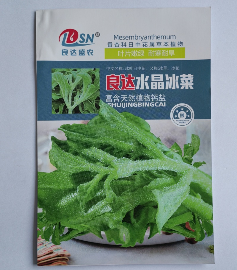 冰菜种子口感新鲜冰冰爽爽耐寒性强营养价值高