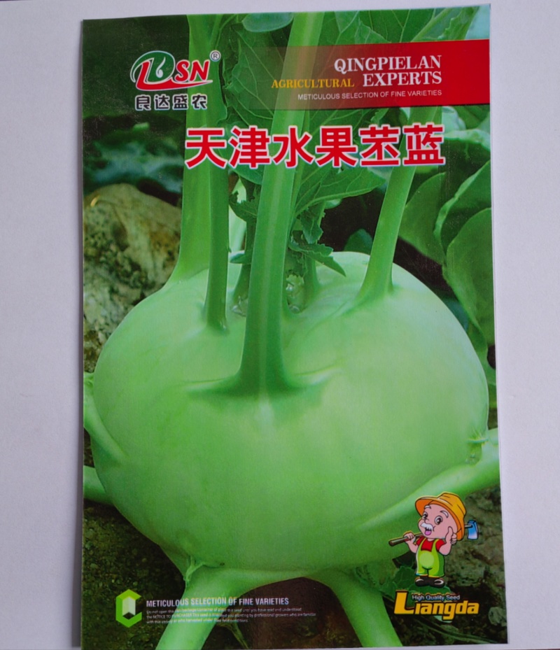 天津翠绿青水果苤蓝种子春秋均可栽培适应性强优质良种