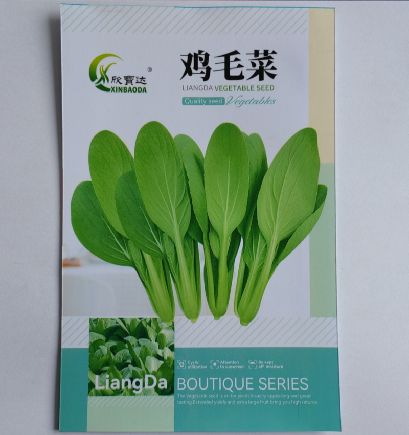 鸡毛菜种子生长速度快品质佳适应性强耐热耐寒
