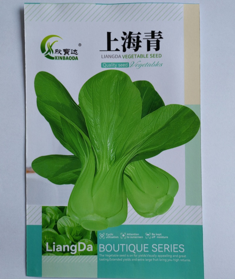 上海青青梗菜种子抗病性强耐热耐寒耐肥品质好