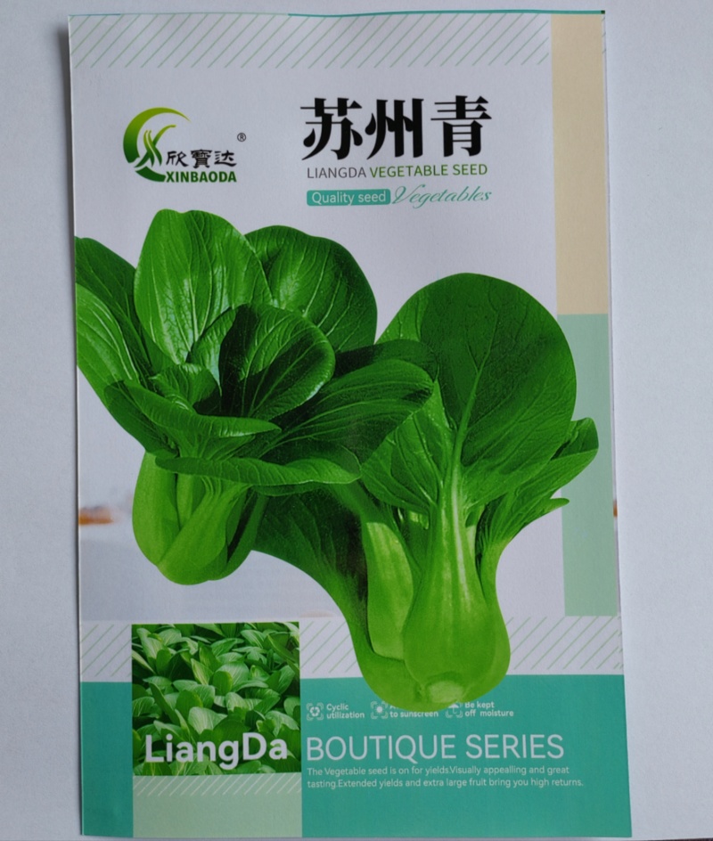 苏州青青梗菜种子叶片平滑叶柄宽厚抗病性强适应性广泛