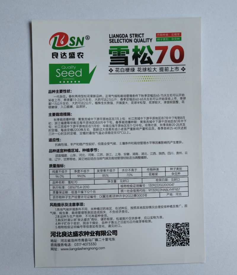 雪松70白菜花种子早熟耐湿不易散球形美观易种植品质优良