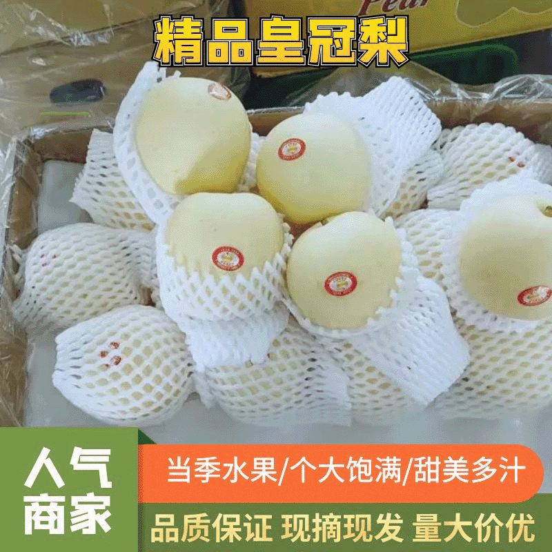 【坏烂包赔】河北皇冠梨现摘现发可对接商超市场视频看货