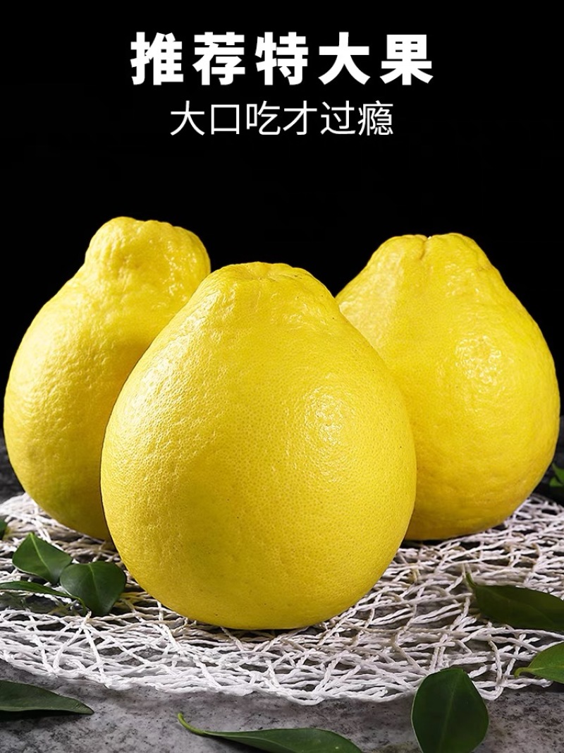 广西省阳朔县精品（沙田柚）万亩基地，欢迎全国各地老板来收