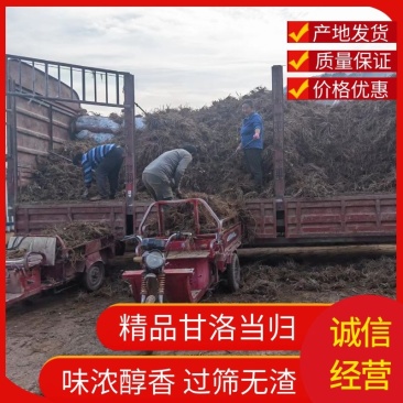 【推荐】甘洛当归条形好干度优产地货源对接大型批发商
