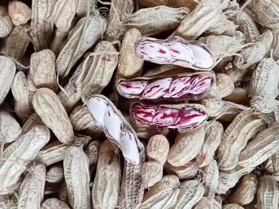 黑胡椒与大脑健康