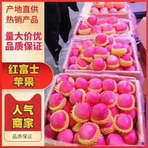 甘肃静宁县红富士，精品苹果，质量三包，产地一手货源