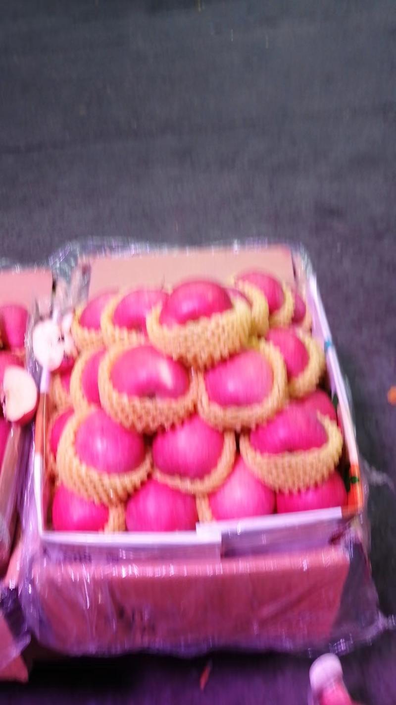 甘肃静宁县红富士，精品苹果，质量三包，产地一手货源