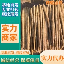 铁棍山药河北精品山药发货全国对接商超批发商电商欢迎咨询