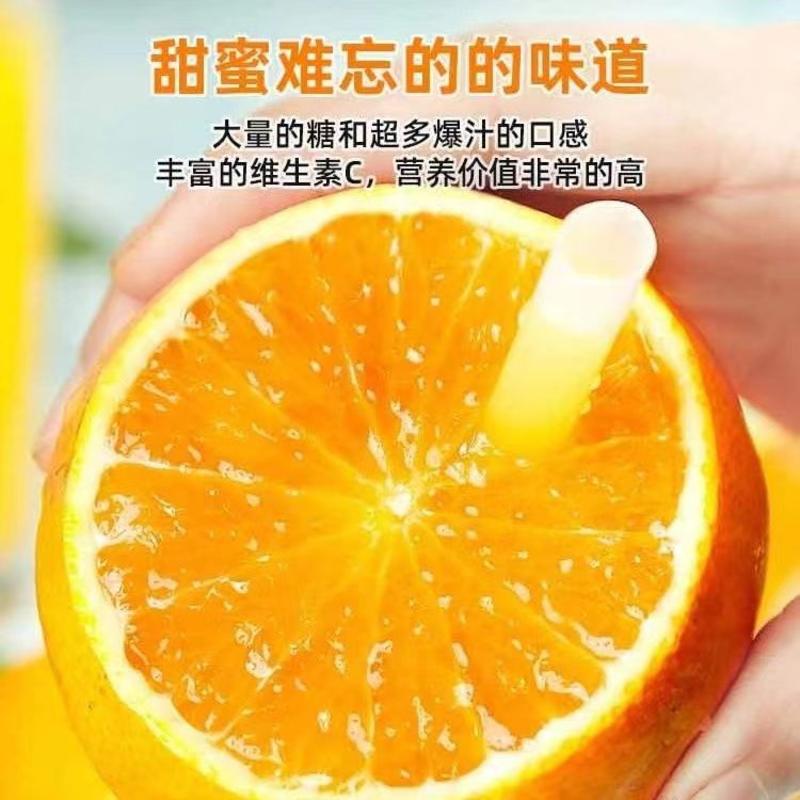 四川果冻橙爱媛橙大量上市中产地直发品质保证欢迎来电咨询