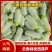【精品上市】云南绿皮西葫芦，大量上货，保质保量，诚信经营