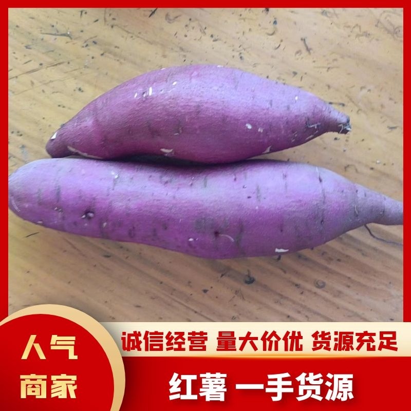 板栗薯小香薯红薯，产地直发，货源充足，口感好，量大从优