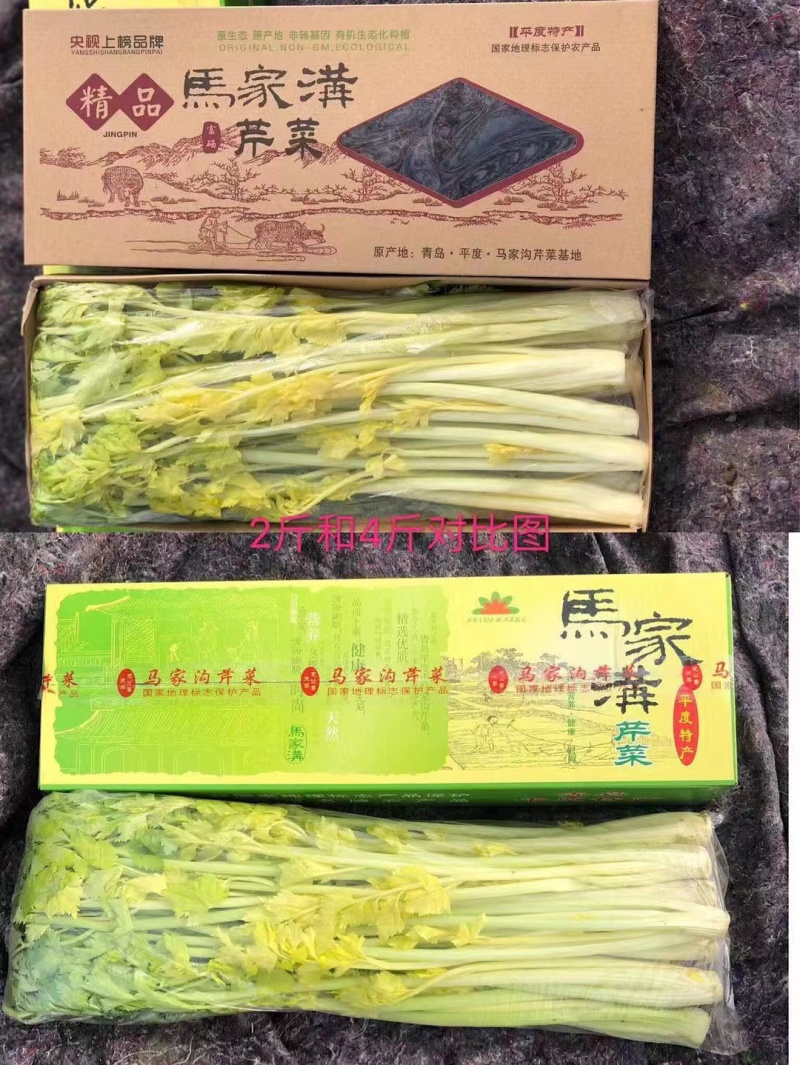 马家沟芹菜60cm新鲜芹菜嫩芯价格优惠对接星级酒店商超