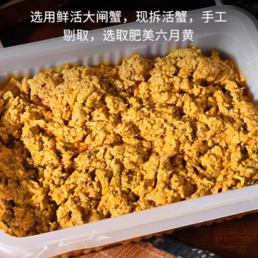 江苏六月黄大闸蟹产地直发，保质保量，欢迎各位老板选购