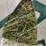 天津港苜蓿美草西草价格优惠可现场看货欢迎老板来电