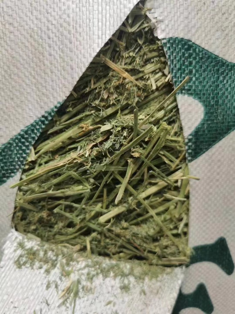 天津港苜蓿美草西草价格优惠可现场看货欢迎老板来电