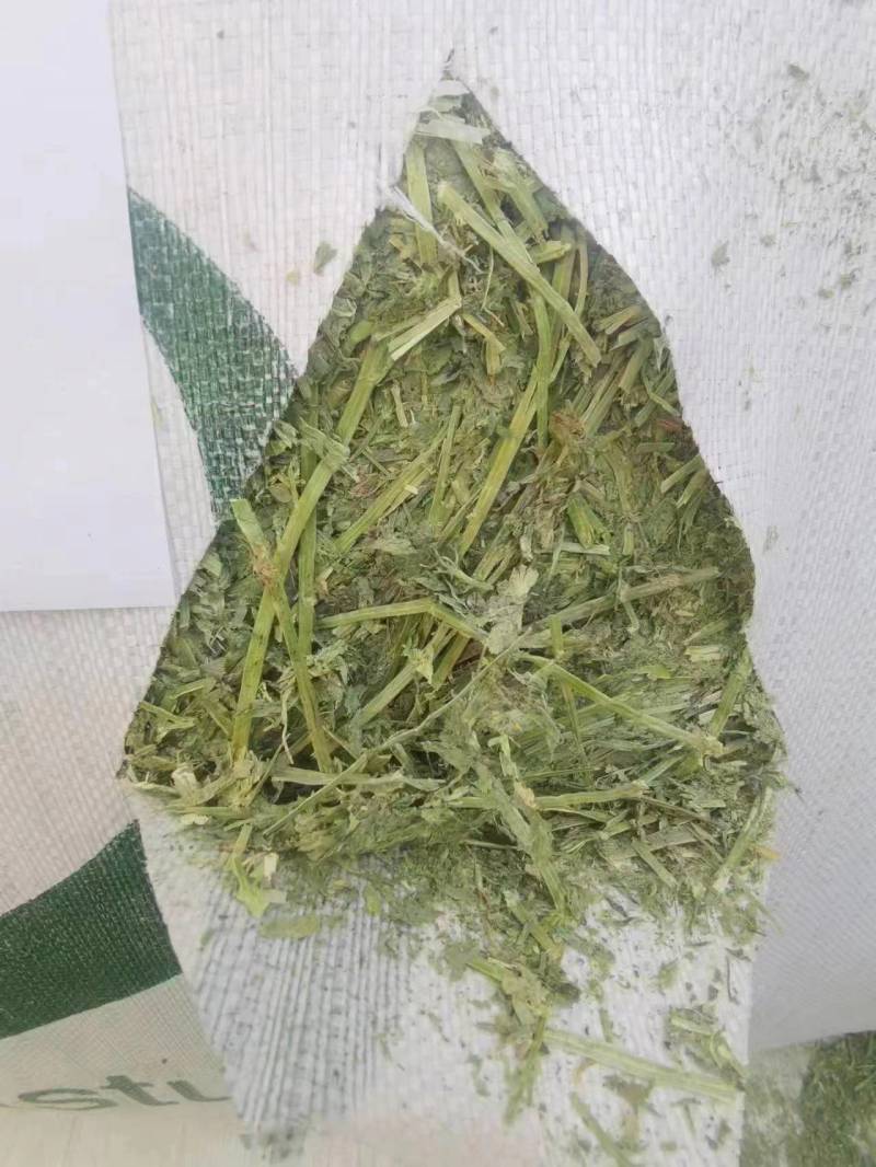 天津港苜蓿美草西草价格优惠可现场看货欢迎老板来电