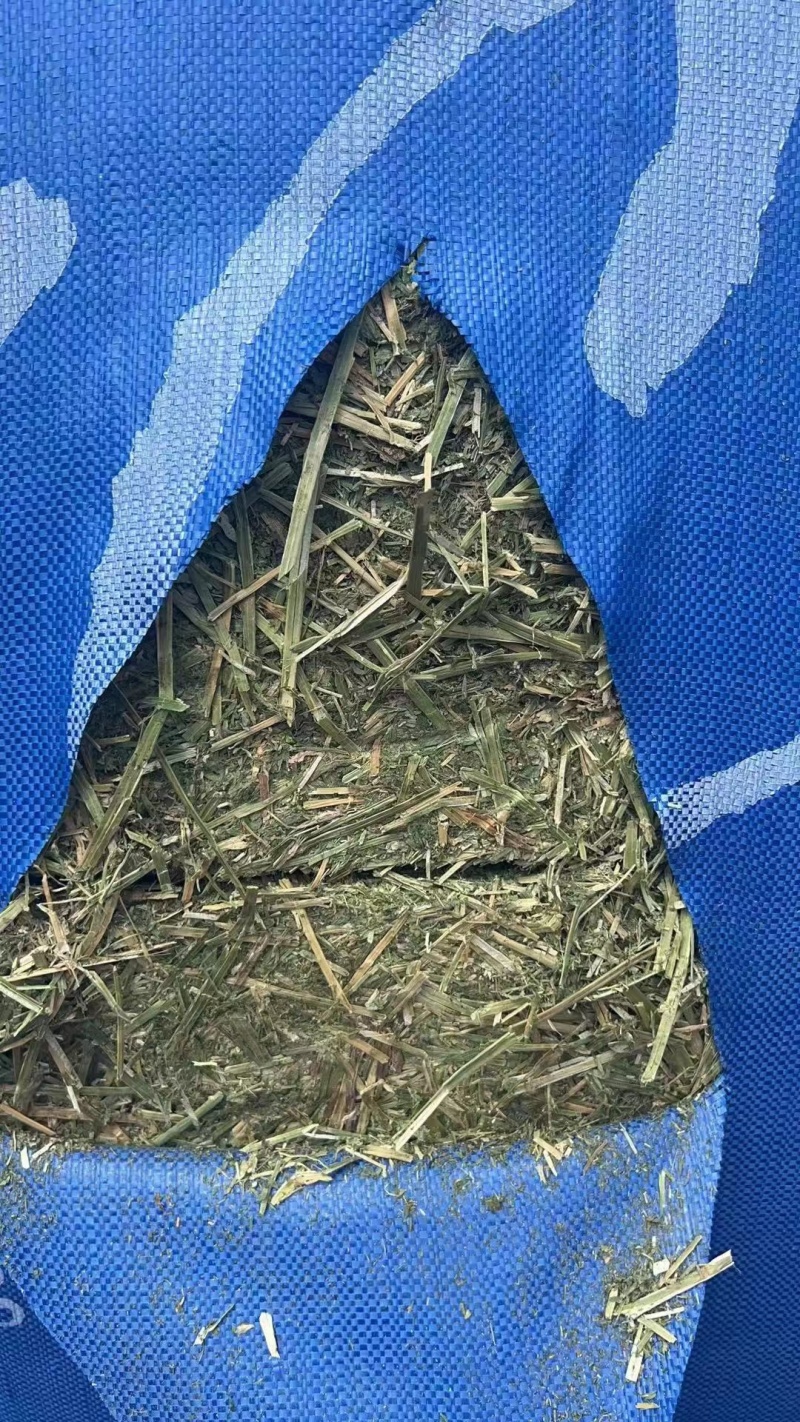 天津港苜蓿美草西草价格优惠可现场看货欢迎老板来电