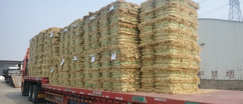 天津港JCT燕麦草基地直发大量有货诚信经营可视频看货