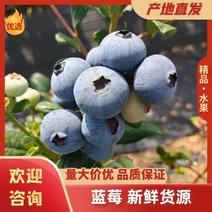 云南澄江蓝莓产地直供新鲜水果鲜果大果量大从优欢迎