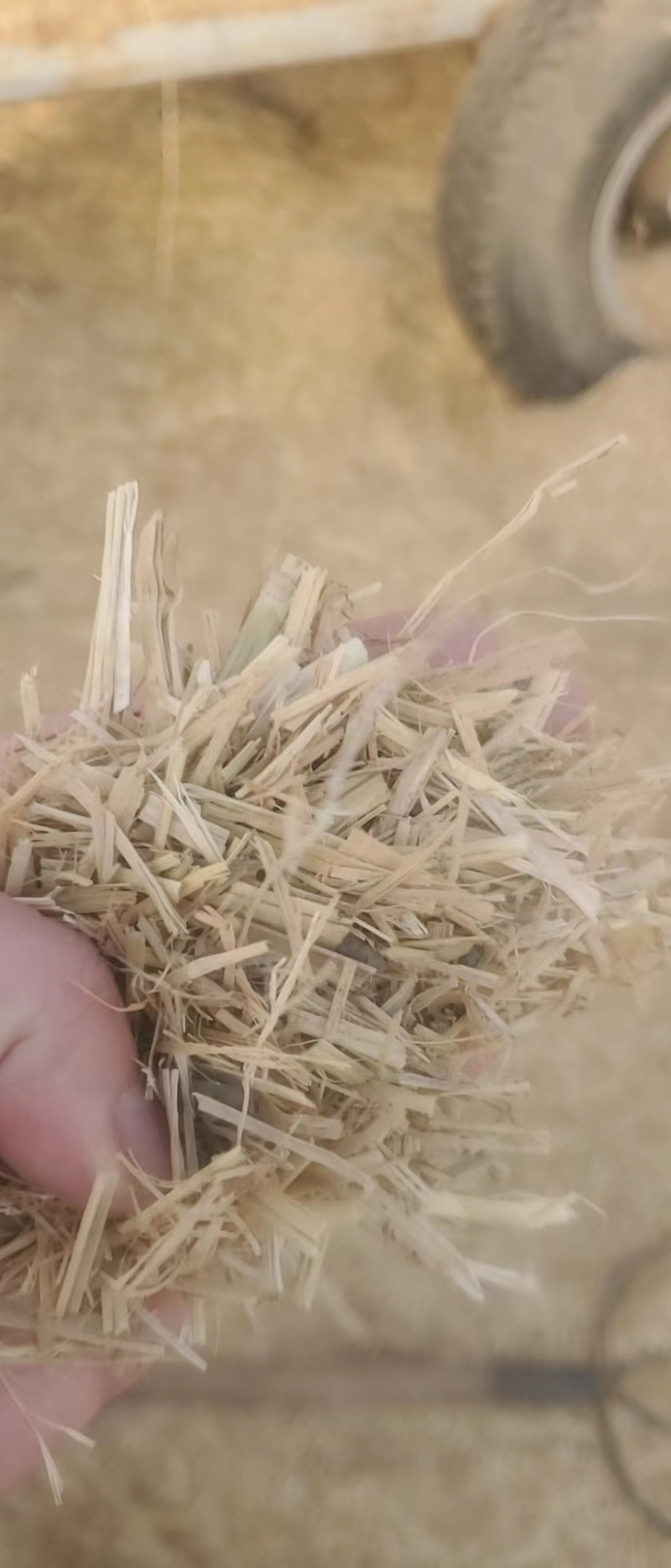 天津小包克拉斯铡断稻草品质保证量大从优欢迎老板来电