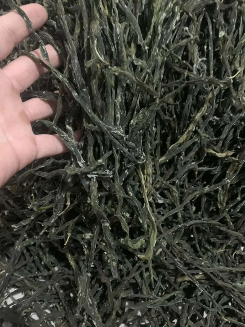 精品脱水干豆角，大量有货，产地直发，保质保量，欢迎选购