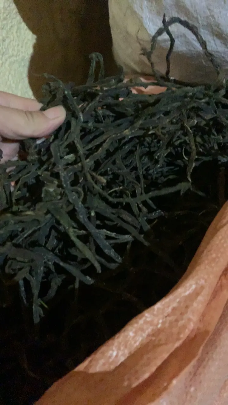 精品脱水干豆角，大量有货，产地直发，保质保量，欢迎选购