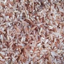 贵州山野红香米货源充足量大从优可供市场商超批发