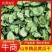 精品黄瓜干产地直发品质保证量大从优欢迎联系