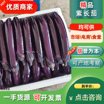 【牛商推荐】精品紫长茄瓜茄子烧烤茄子按需分拣