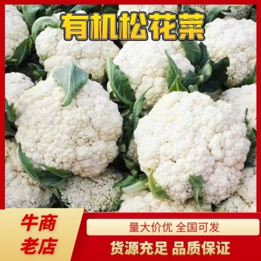 【精品】河南焦作有机花-量大从优-产地直发-价格优惠