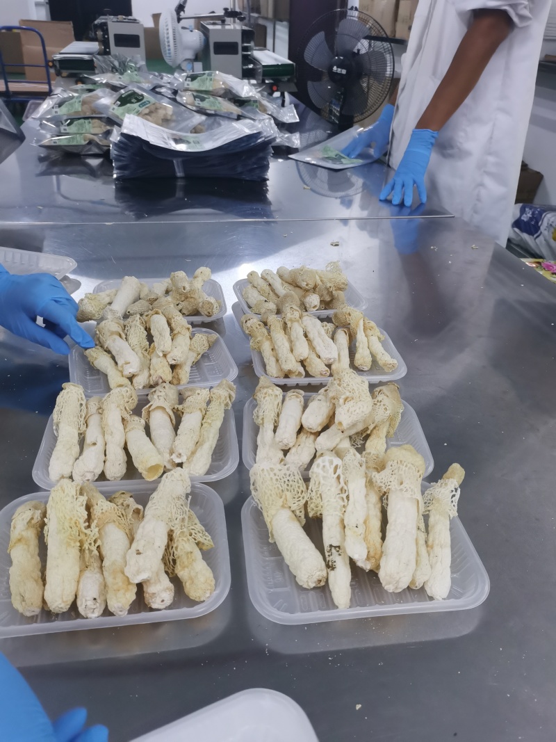 贵州毕节织金竹荪厂家直发诚信经营品质保证欢迎来电