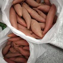 唐山沙地蜜薯烟薯25，一手货源，品质保证，欢迎大家都来店