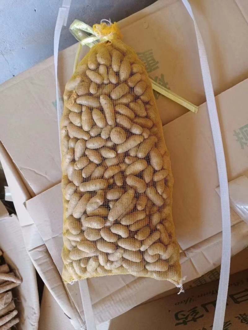 【山药豆】河北小白嘴山药豆品种多规格全产地直发