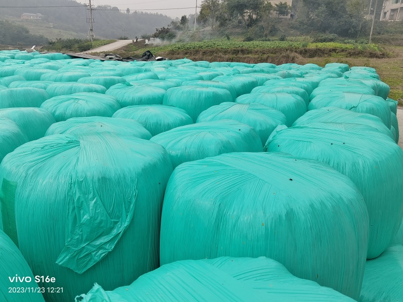 牧草青储饲料，一手货源，自有牧草基地，量大价优