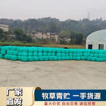 重庆牧草饲料青贮青储原料，实力供应，厂家直销，精品