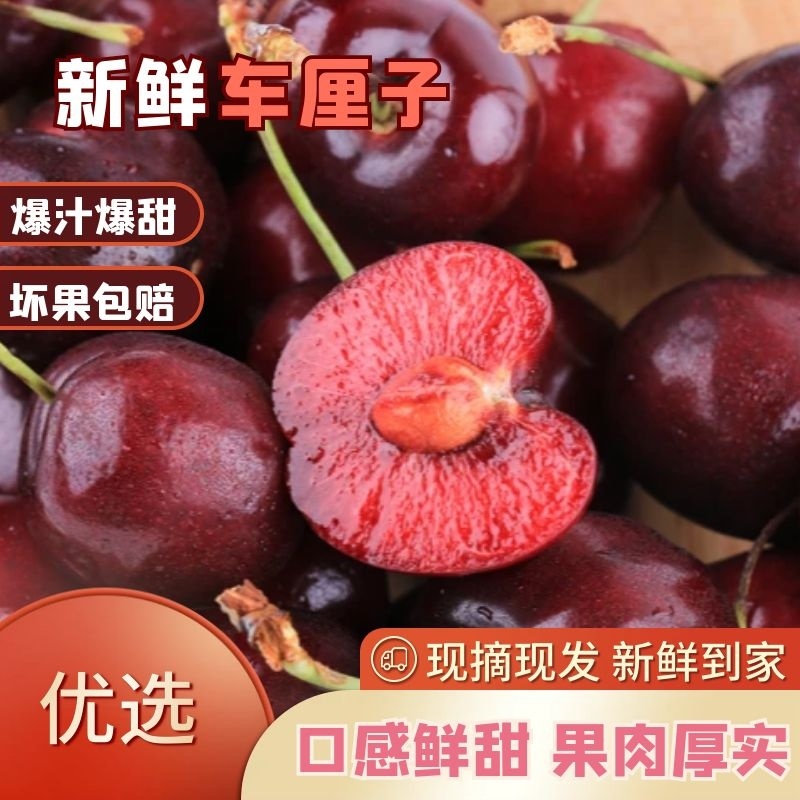 早熟蜜橘测糖13左右，大量供应电商市场零售