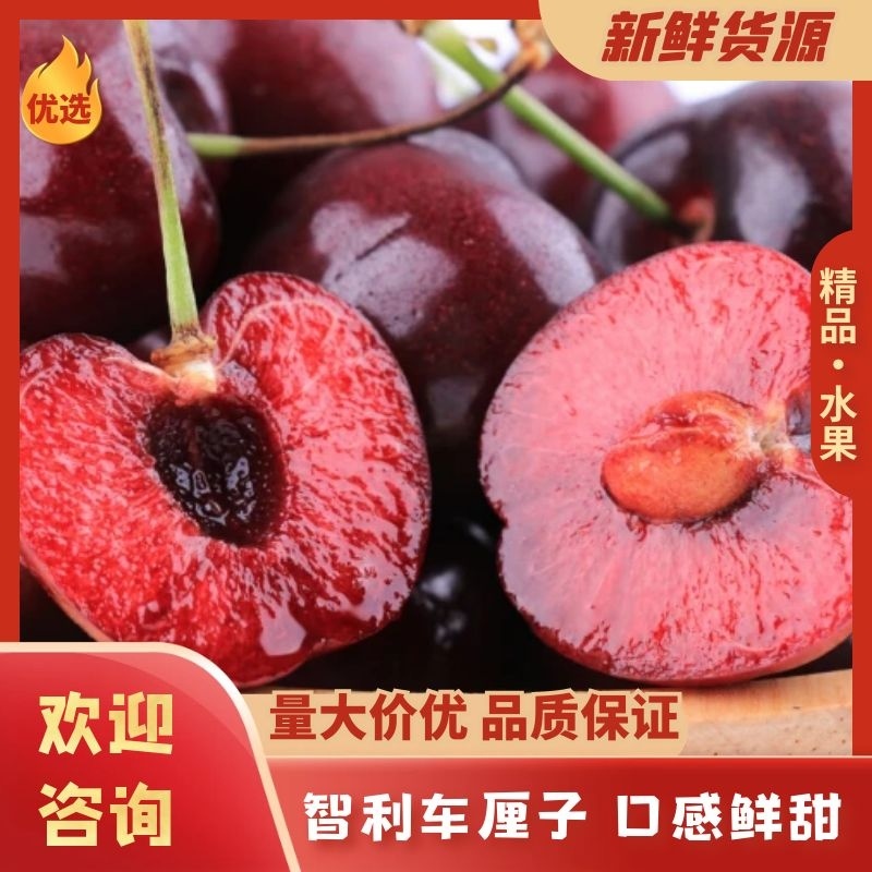 【一件代发】智利车厘子，电商一件代发，顺丰空运礼盒