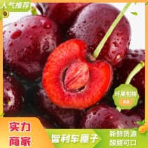 电商一件代发智利车厘子全平台对接淘宝，京东，拼多多，直播
