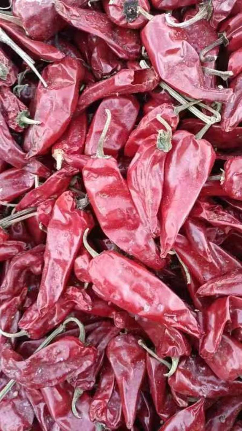 北京红干辣椒，产地货源，可视频看货量大从优一手货