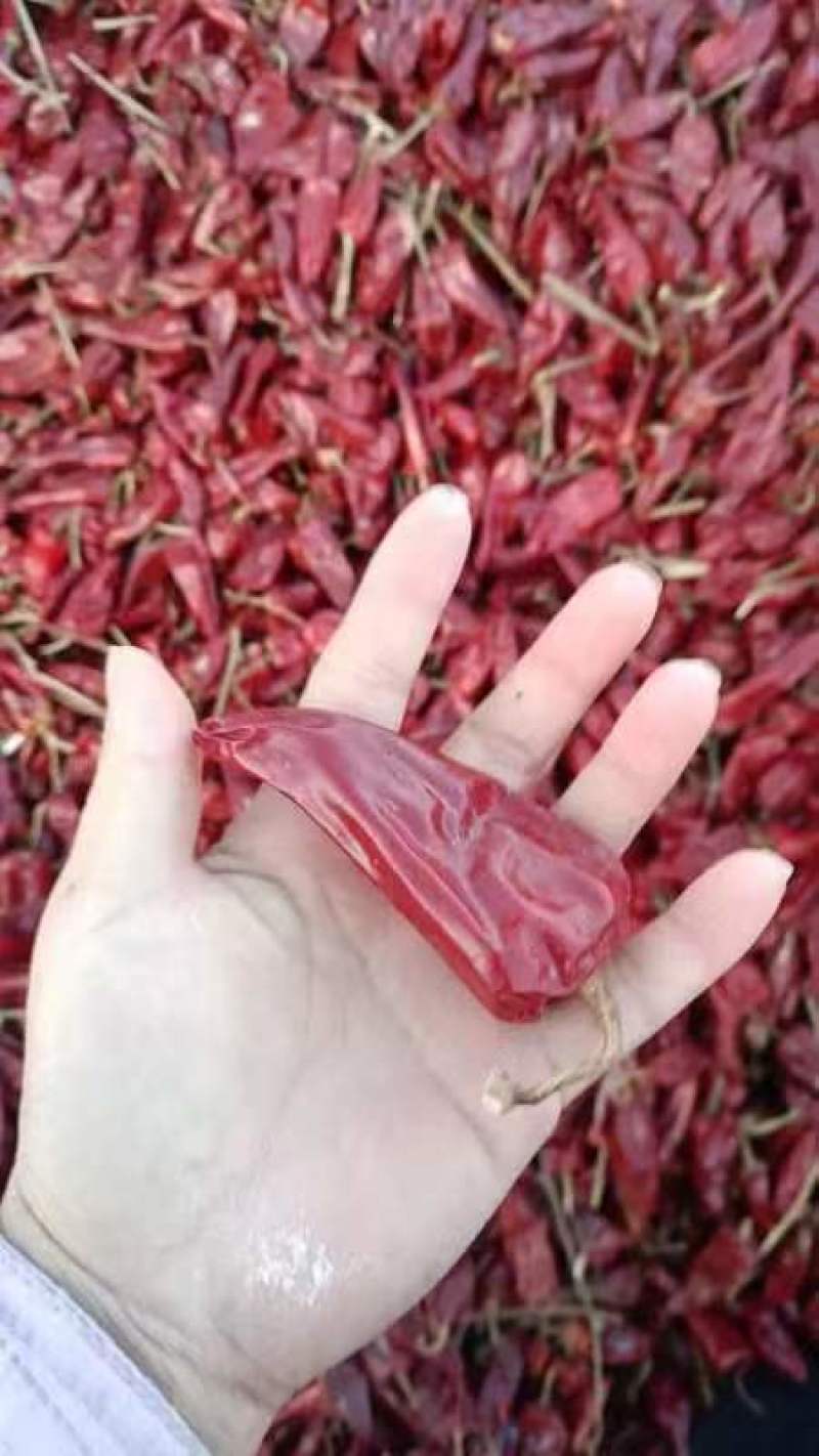 不辣的干辣椒不辣辣椒面红油上色辣椒粉韩式辣椒面北京红板椒