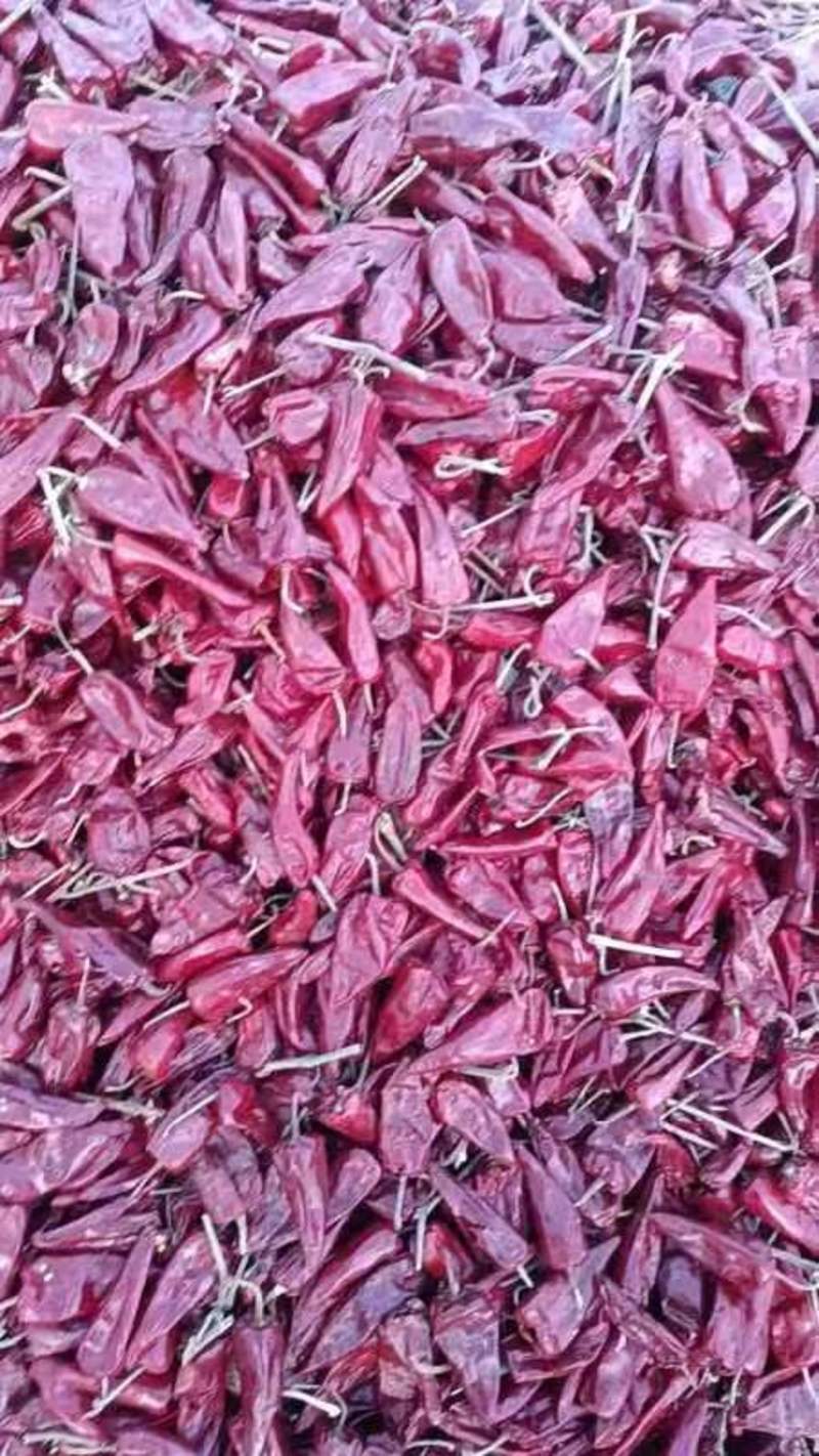 北京红干辣椒，产地货源，可视频看货量大从优一手货