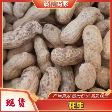 河北机油四花生大量供应产地直发量大从优可视频看货