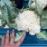 精品花菜菜花电商市场团购全国发货欢迎咨询