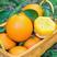 湖北秭归纽荷尔脐橙产地直发一手货源批发品质保证价格美丽