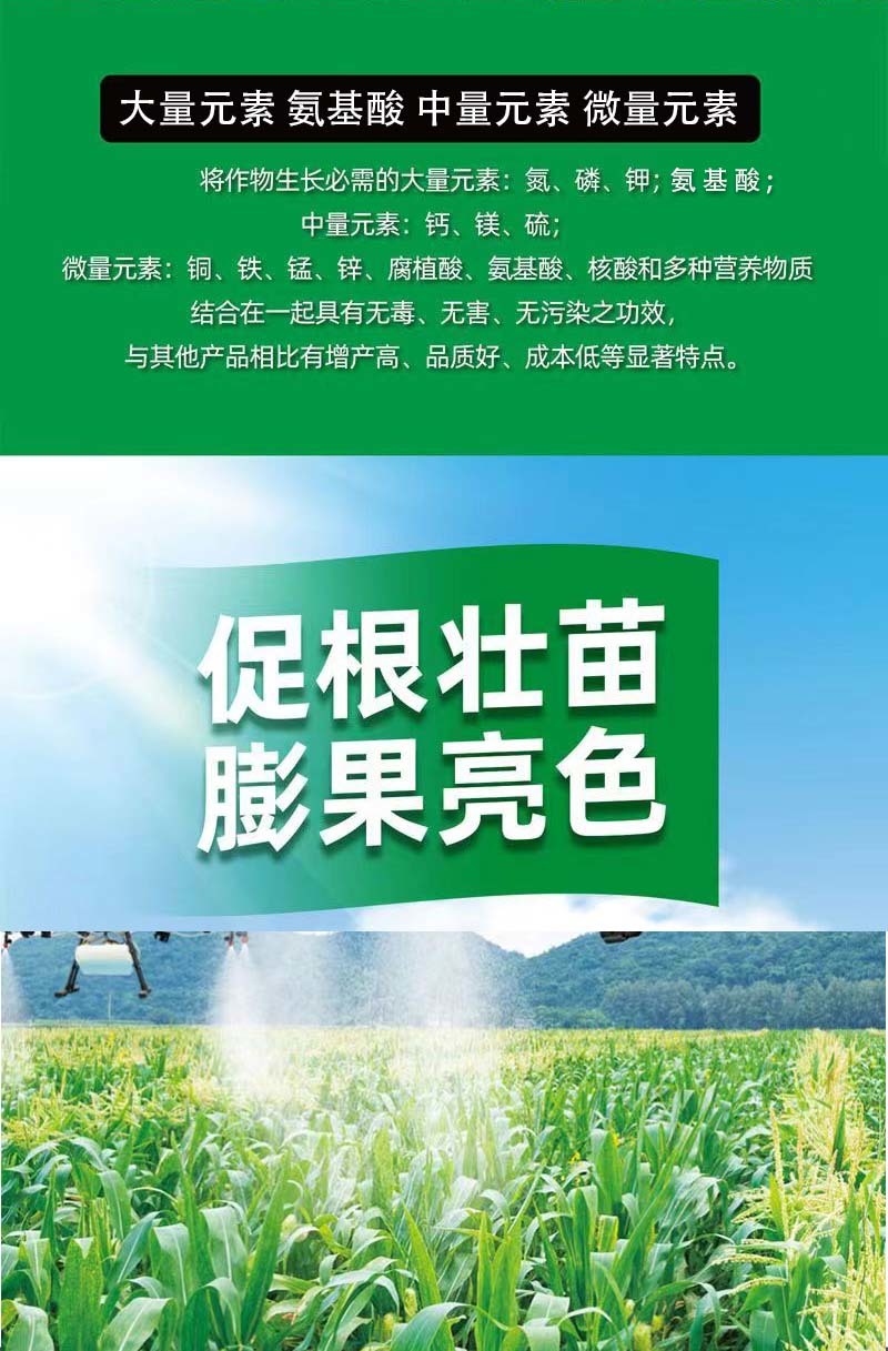 大力雄追肥精山药材党参半夏百部天冬白芨柴胡壮根增产叶面肥
